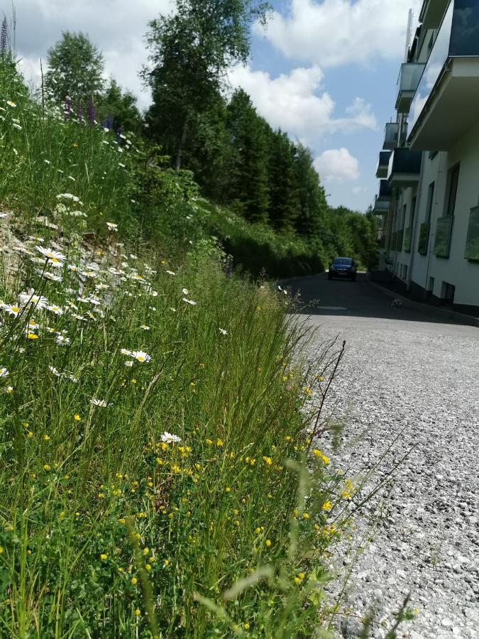 Studio Bernard 1.10 Vysoké Tatry Exteriör bild
